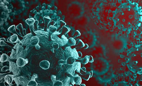 Coronavirus Disease 2019 Covid 19 What You Need To Know