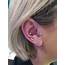 Finished My Right Ear With A High Lobe And Conch Piercing Last Night 