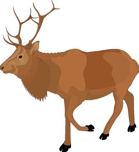Download Animal (99129) Free SVG Download / 4 Vector