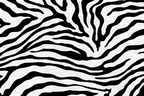 Free Printable Zebra Pattern Free Printable Templates