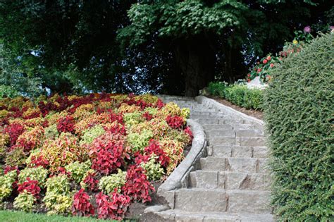 E se stai pensando ad una consulenza professionale, instapro trova per te il tuo. Come stabilizzare una scarpata - Giardinaggio, fiori ...