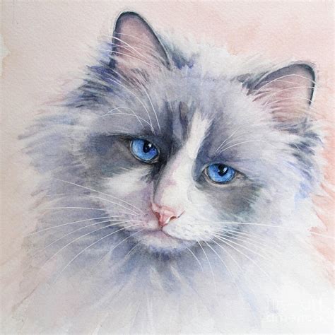 Ragdoll Cat Painting At Explore Collection Of