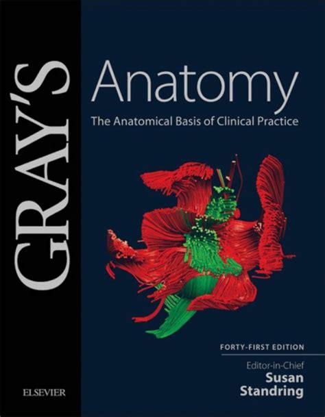 This website provides free medical books for all. Gray's Anatomy (ebook)