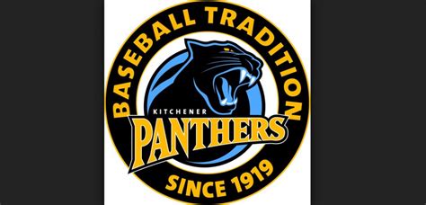 Kitchener Panthers Sweep Hamilton Citynews Kitchener