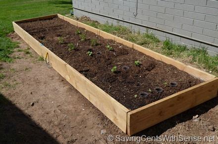 This vegetable garden features three cedar raised beds and is part of an overall drought elevating them helps to separate your fertilized soil from the native soil in the ground, allowing you to. How to build your own raised bed vegetable garden ...