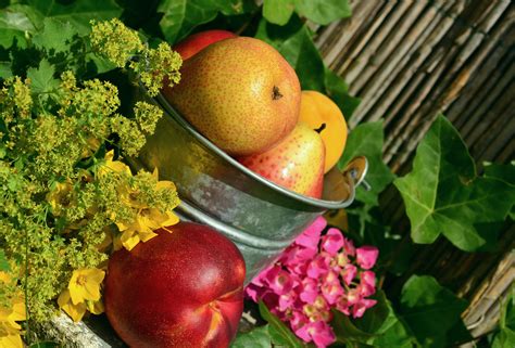Free Images Branch Fruit Flower Ripe Food Harvest Produce