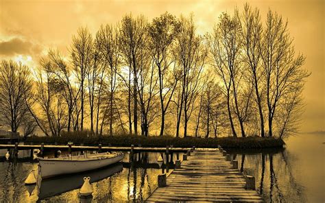 1366x768px 720p Free Download Golden Sunset Fall Autumn Bonito
