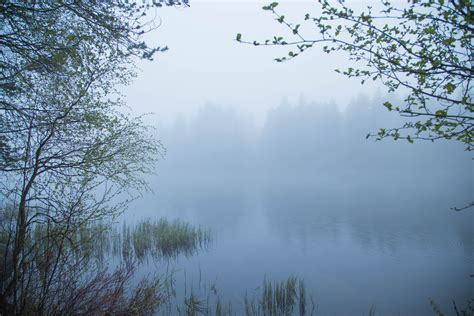 Foggy Pictures From The North Study In Sweden The Student Blog
