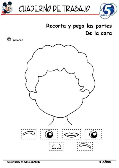 Cuaderno De Trabajo I 5 Años Ciencia Y Ambiente Body Parts Preschool