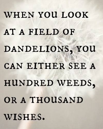 When You Look At A Field Of Dandelions You Can Either See A Hundred