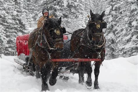 Ultimate Guide To Enjoying The Christmas Season In Banff Alberta