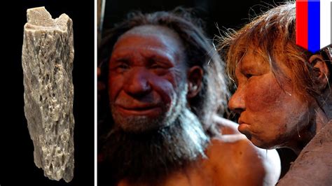 Ancient Neanderthal Denisovan Hybrid Found In Siberian Cave Tomonews