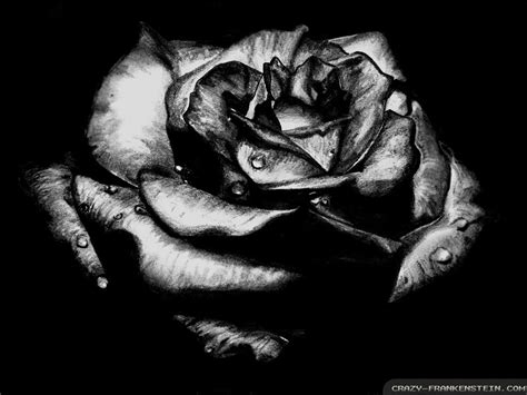 Free Download Black Rose Gothic Wallpapers 1024x768 By Geny Evilgoth16