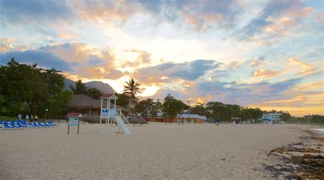 Visita Playa Dorada En República Dominicana Expediamx