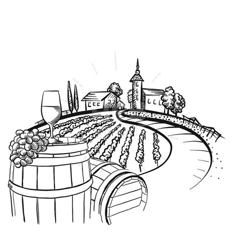 Vineyard Barrel And Glass Drawing Instant Download Drawings Wine
