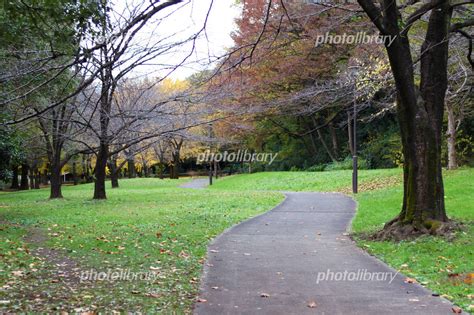 公園の紅葉 写真素材 4751785 フォトライブラリー Photolibrary