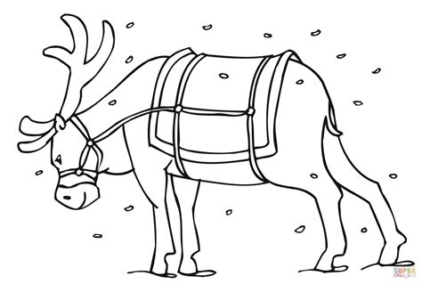 Malvorlagen rudolph rentier ausdrucken / kostenlose malvorlage weihnachten: Malvorlagen Rudolph Rentier Ausdrucken : 34 Rentier Bilder ...