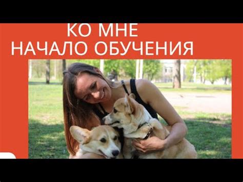 Ко мне начало обучения. как научить собаку подходить по команде ко мне ...