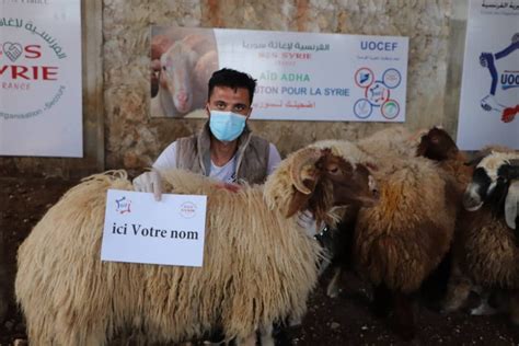 Offrir Un Mouton Pour L Aid - Sos Syrie - Offrir un mouton pour l'Aid Al Adha 2020 aux plus démunis...