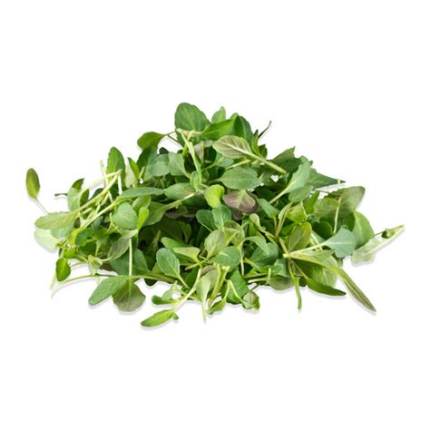 Micro Mint Lime Greens For Sale Marx Foods