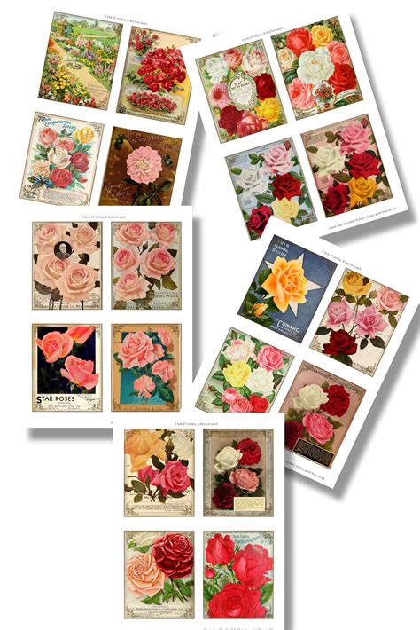 Vintage Cards With Roses Victorian Cards Rose Collection Etsy