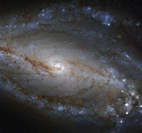 Hubble Space Telescope Snaps Breathtaking Picture Of Ngc 613