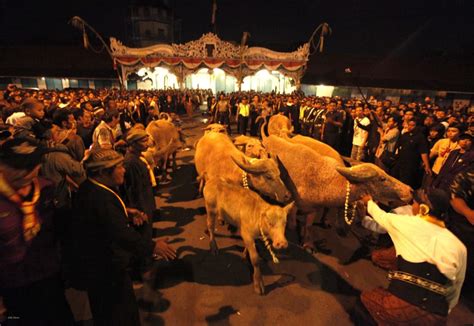 294 likes · 2 talking about this. Menelisik Sejarah Peringatan Malam Satu Suro di Tanah Jawa