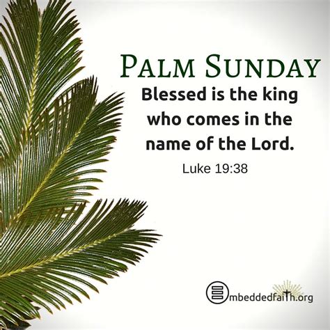Holy Week Cover Image Series Palm Sunday Palm Sunday Quotes Jesus