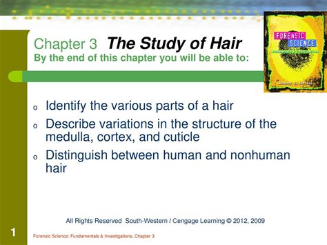 Identify The Various Parts Of A Hair Ppt Download