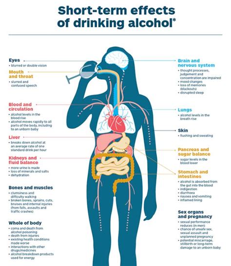 Short Term Effects Of Drinking Alcohol Effects Of Alcohol Effects Of