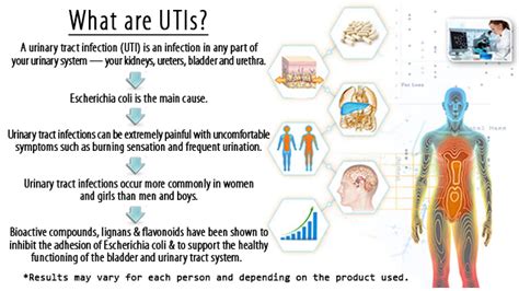 They are a common health problem that affects millions of people each year. UTI- Is Your UTI Remedy Effective?