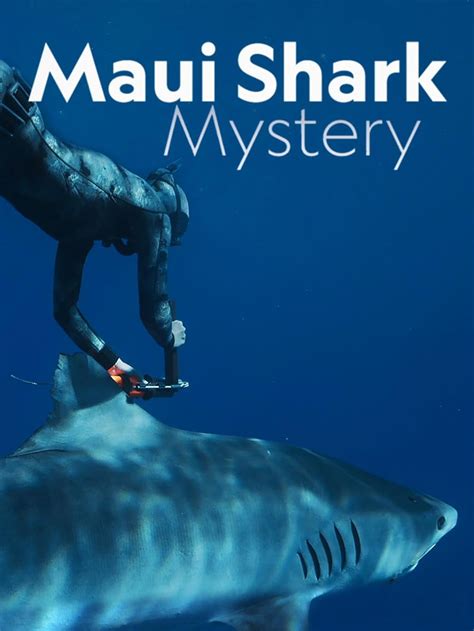 Maui Shark Mystery Tv Special 2022 Imdb