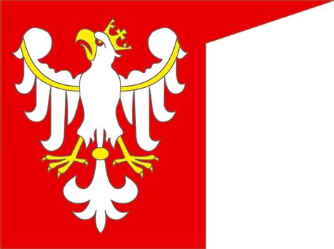 Zobacz Jak Zmieniała Się Polska Flaga Na Przestrzeni Wieków