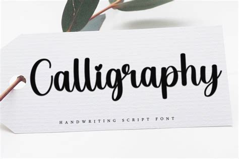 Calligraphy Script Fonts ~ Creative Market