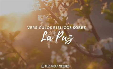 Versículos de la Biblia sobre la Paz Textos Bíblicos