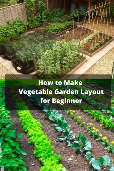 How To Make Vegetable Garden Layout For Beginner Garden Layout