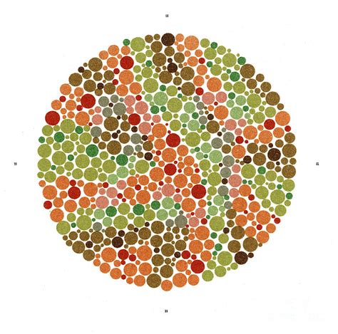 Ishihara Color Blindness Test Poster By Wellcome Images Images And