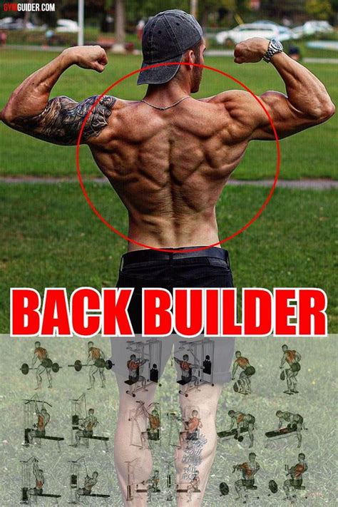 8 Best Muscle Building Back Exercises Are You Ready To Grow