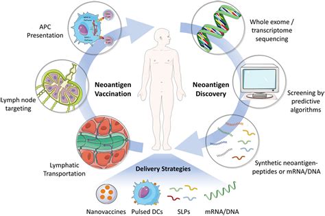 Frontiers | Neoantigen Vaccine Delivery for Personalized Anticancer
