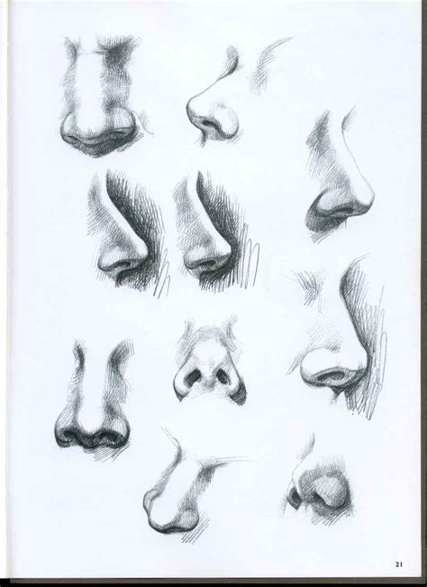 The Nose Drawing Faces And Figures Joshua Nava Arts