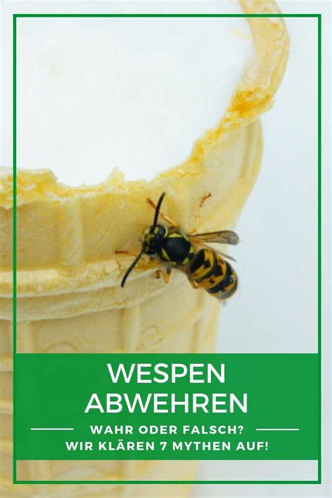 We did not find results for: Pin auf Tiere im Garten