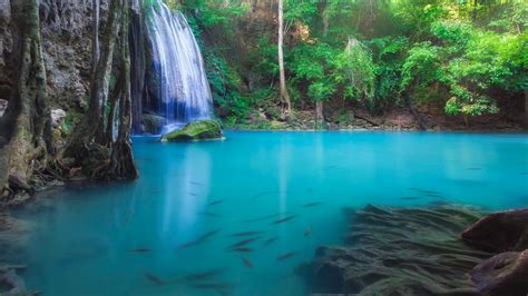 Erawan Waterfall In Deep Forest Over Pond With Fishes Kanchanaburi