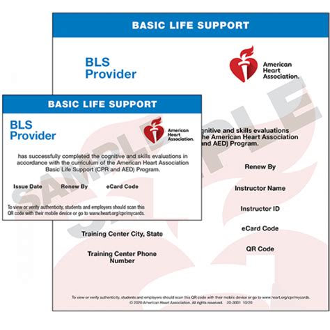 Basic Life Support Bls American Red Cross Same Day Certification