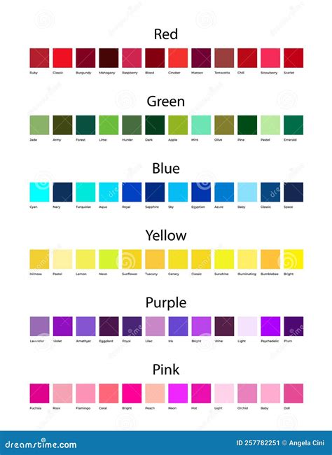 Red Green Blue Yellow Purple And Pink Color Shades Palette With