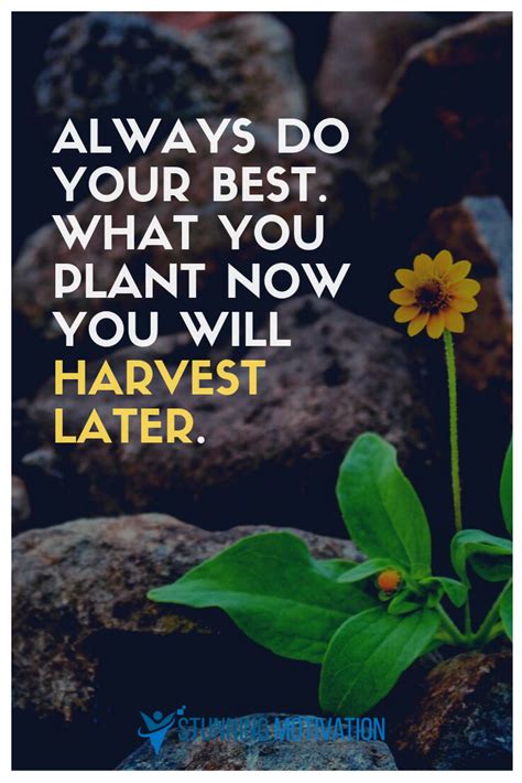 Always Do Your Best What You Plant Now You Will Harvest Later