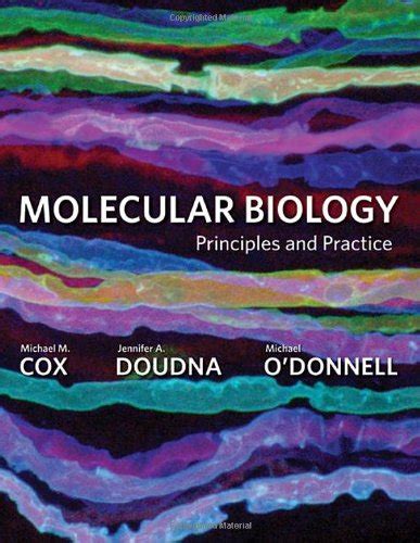Molecular Biology Principles And Practice Isbn 13 978 0 7167 7998 8