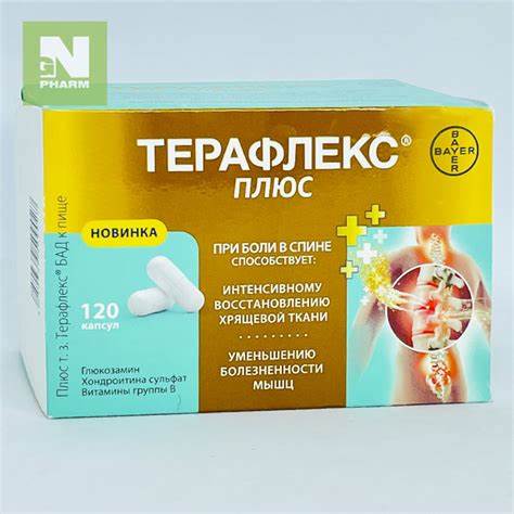 Терафлекс плюс капс 400мг/500мг N120 - NG Pharm Картинка - Терафлекс плюс капс 400мг/500мг N120 - NG Pharm