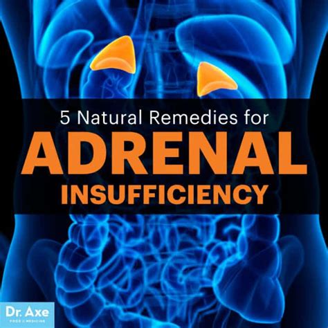 Adrenal Insufficiency Symptoms And Natural Remedies To Use Dr Axe