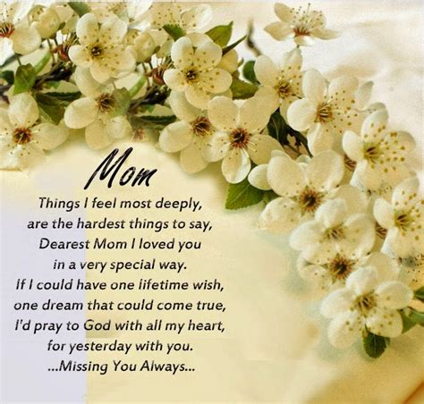 80 Condolences Quotes And Sympathy Messages With Images
