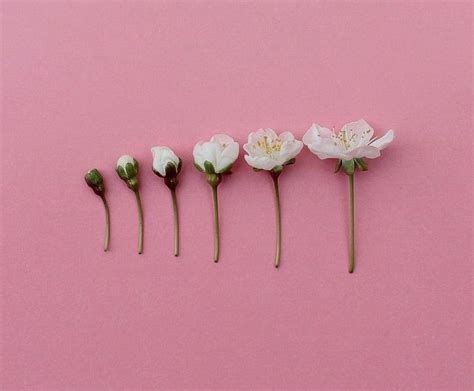 Please contact us if you want to publish a pink aesthetic tumblr laptop wallpaper on our site. Pin on Party Monster